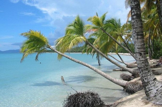 Rum and Salines paradise beach - Price and what you actually get for $82.81