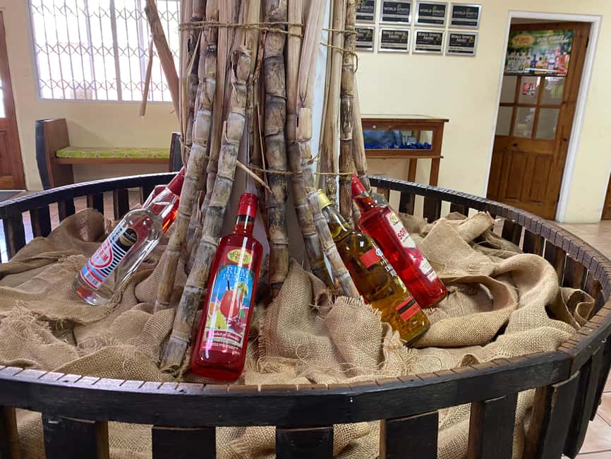 Rum Beer And Beach Tour - How the Rum and Beach Schedule Works