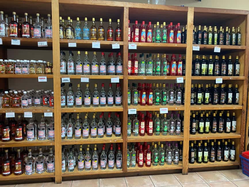 Rum Beer And Beach Tour - West Indies Beer Company: Tasting and Comparing Brews
