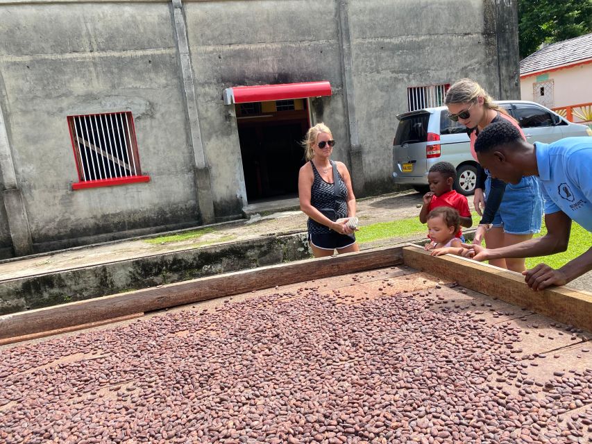 Rum Beer And Beach Tour - Small-Group Comfort, Pickup Timing, and On-Tour Wi-Fi