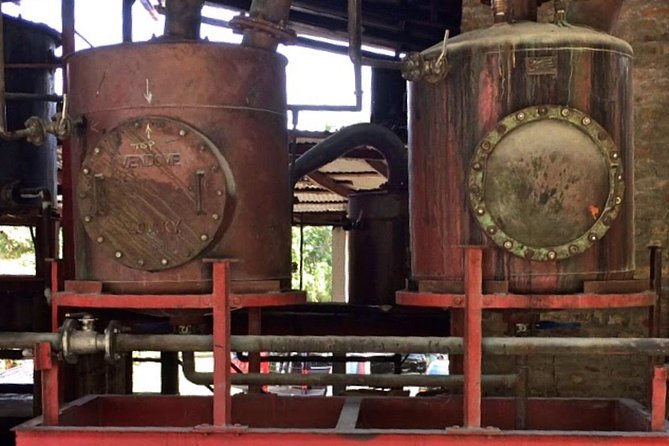 Rum Tour: Exploring the Historic River Antoine Rum Distillery - About the shopping: buy in the right mood