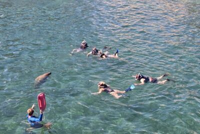 San Juan Snorkel with Turtles and Manatee's; Free Video and Rum! - How the 1.5-Hour Plan Usually Works (and what you should expect in the water)