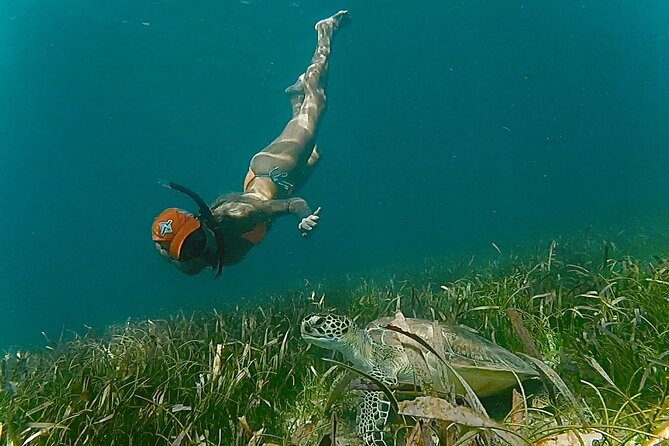 San Juan Snorkel with Turtles and Manatee's; Free Video and Rum! - Currents, visibility, and why conditions can change your snorkel day