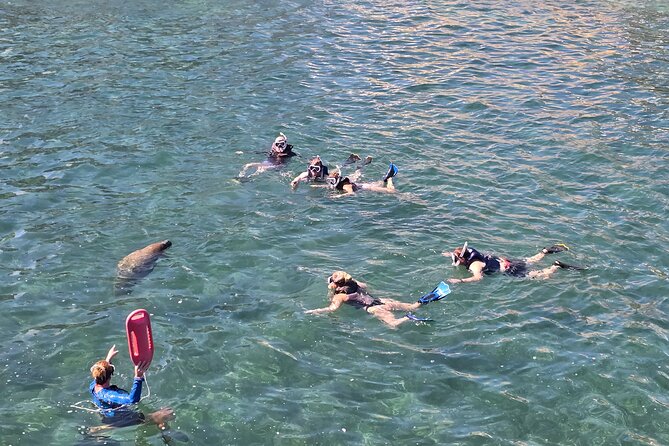 San Juan Snorkel with Turtles and Manatee's; Free Video and Rum! - How the 1.5-Hour Plan Usually Works (and what you should expect in the water)