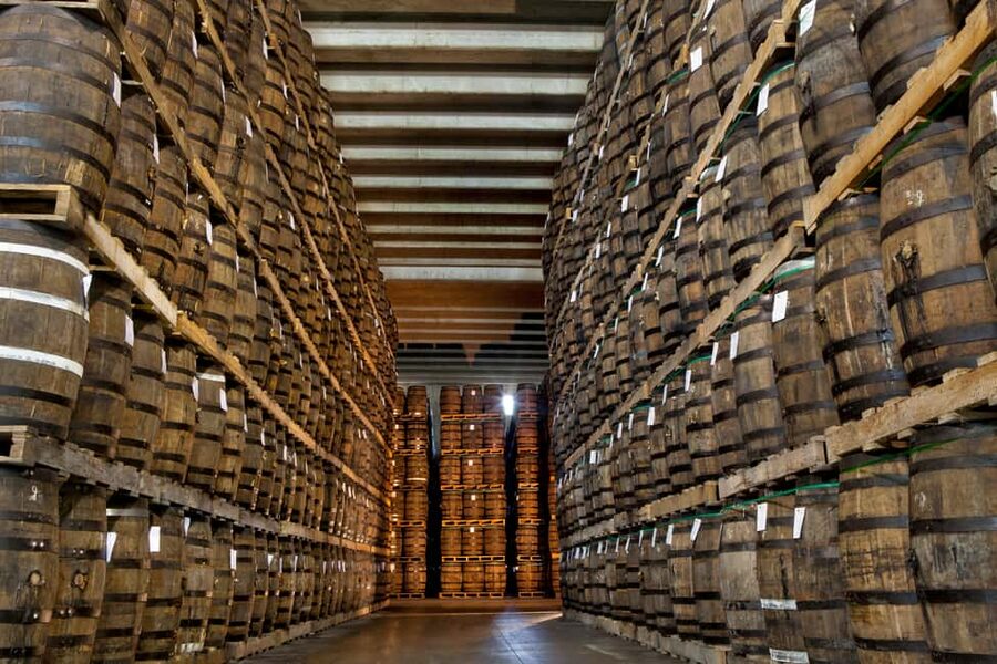 San Pedro De Macoris: Ron Barcerló Rum Factory Tour - Key highlights you’ll actually care about