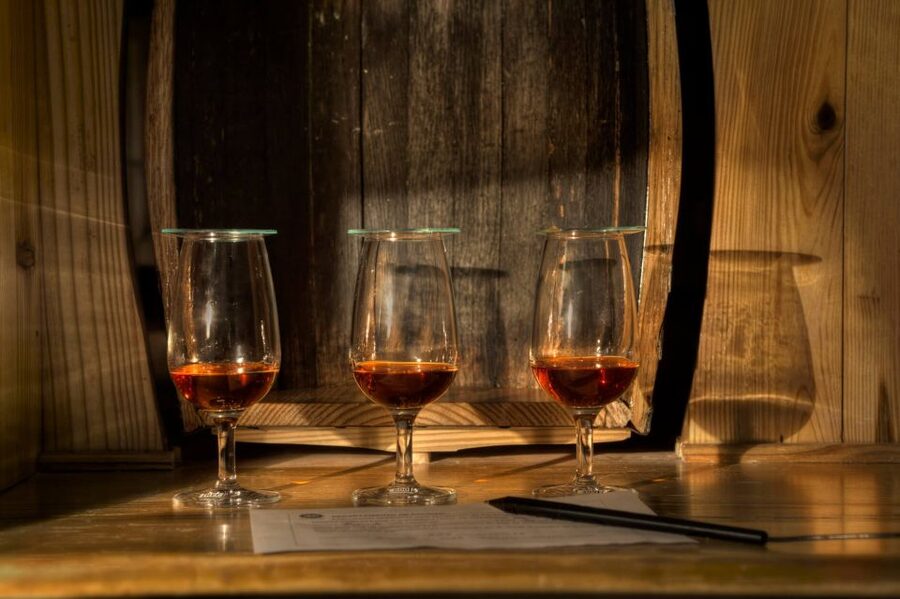 San Pedro De Macoris: Ron Barcerló Rum Factory Tour - Timing, group size, and how the tour pace feels