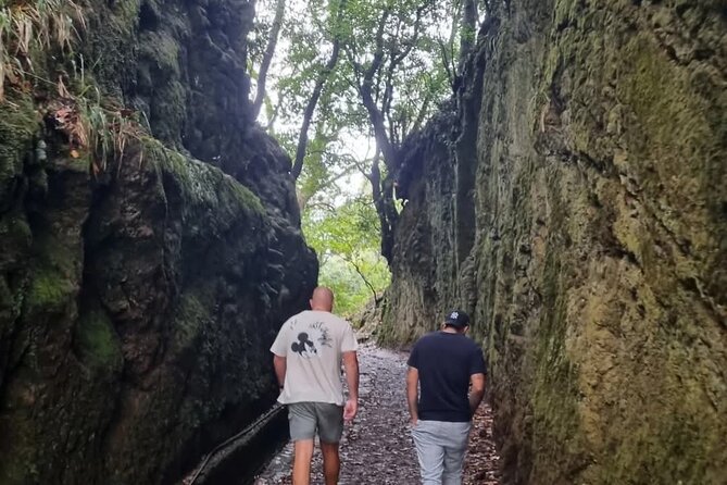 Scenic Hiking and Rum Tasting Experience - Porto da Cruz rum factory: sightseeing plus tasting
