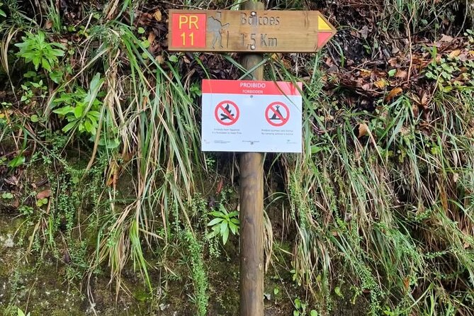 Scenic Hiking and Rum Tasting Experience - Price and value: how $45.78 makes sense (and when it doesn’t)