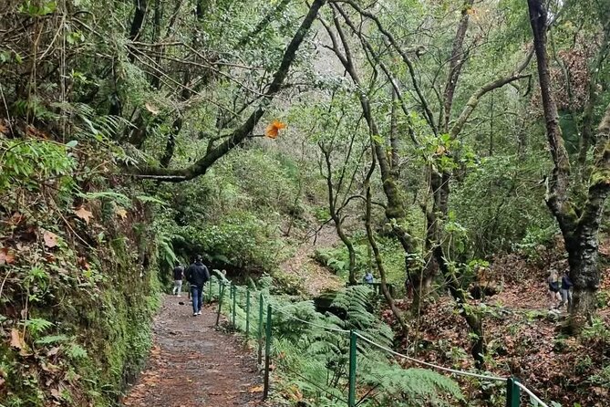 Scenic Hiking and Rum Tasting Experience - The guide experience: friendly, funny, and good at pacing