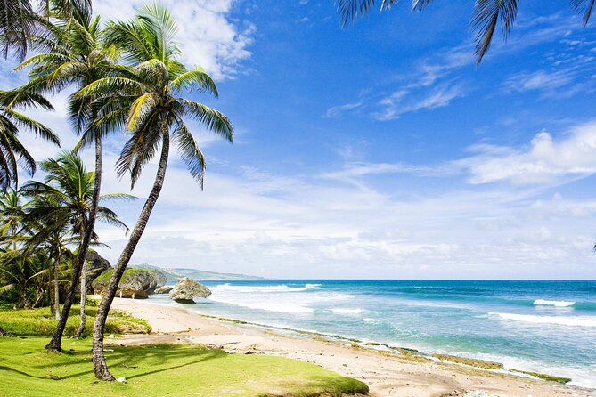 Small-Group Story of Rum Tour in its Birthplace of Barbados - The driving plan: Pickup rules, rough roads, and why small group helps