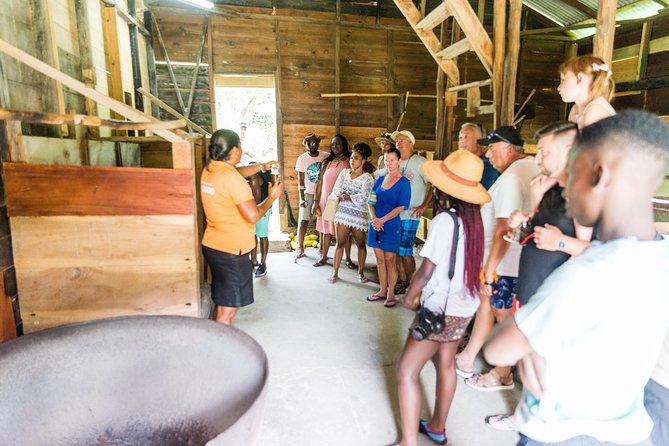Soufriere Excursion with Rum & Chocolate Tasting - Marigot Bay cruising: history, photos, and a calmer stretch