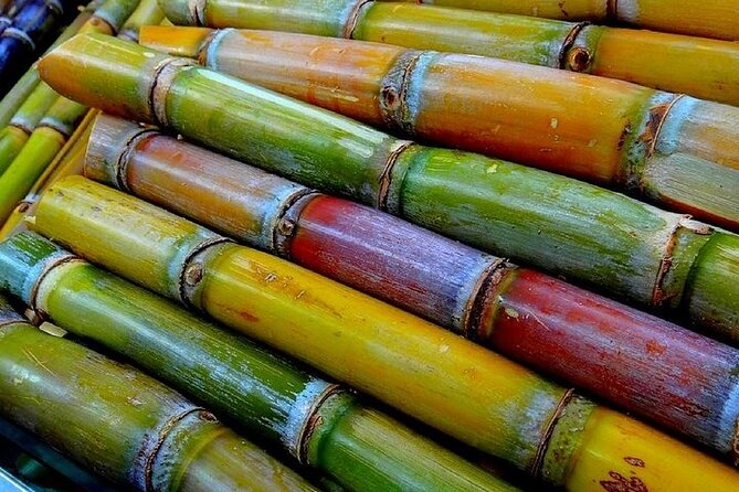 Taste of Grenada: Rum Hopping & Lunch - A half-day taste of Grenada’s rum-and-cocoa side