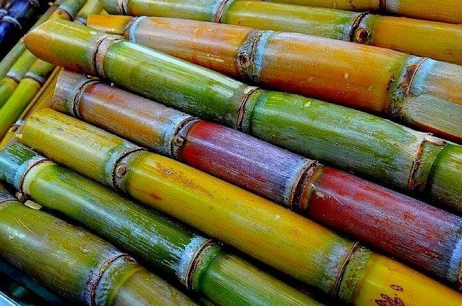 Taste of Grenada: Rum Hopping & Lunch - Clarke’s Court Rum Distillery: sugar cane to bottle