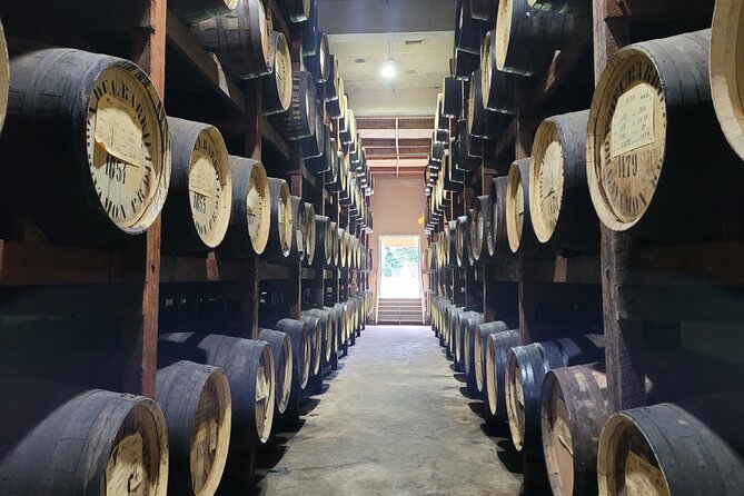 The Barrilito Rum Factory Experience Transportation Included - Key highlights you’ll feel right away