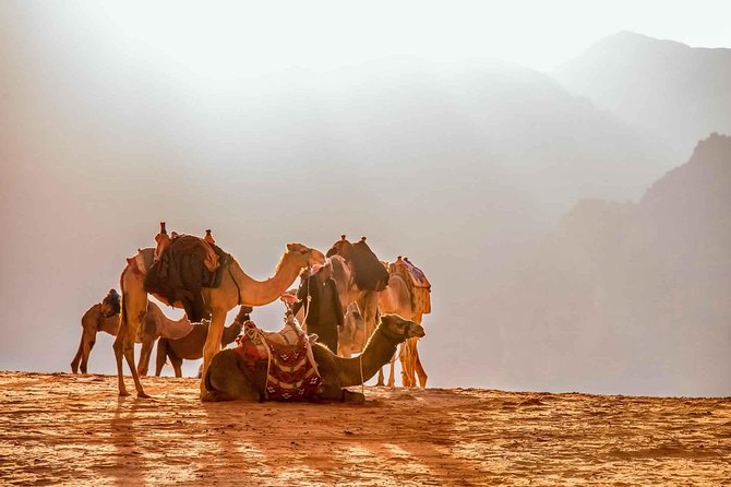 Treasures of Jordan Tour-7 Days Discover Petra & Dead Sea & Wadi Rum with Hotels - Wadi Rum 4x4 safari and a night camping under the stars