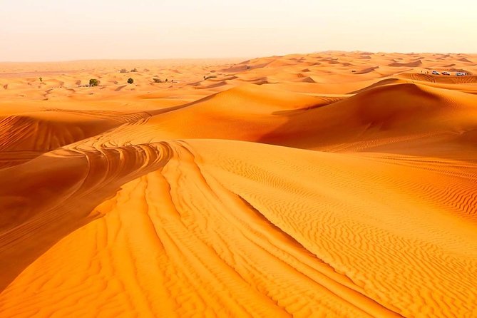 Treasures of Jordan Tour-7 Days Discover Petra & Dead Sea & Wadi Rum with Hotels - Who this tour suits best (and who might want to tweak it)