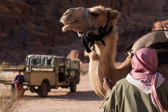 Two-Hour Jeep Safari "Wadi Rum Highlights!" w/ Professional Guide - Lawrence’s Spring: Shrine, Aqueduct, and Bedouin Tea Stories