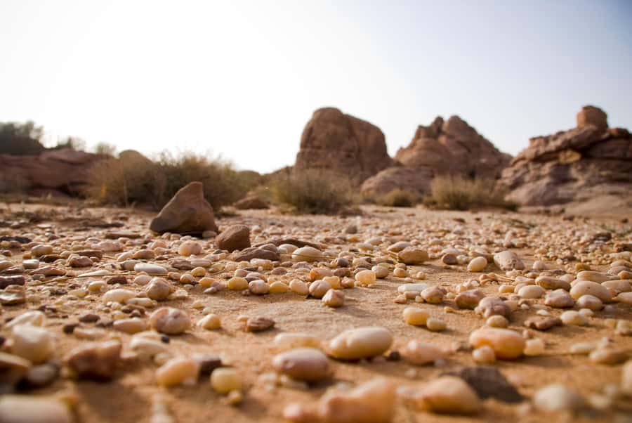 Wadi Rum: 10 Hour Jeep Tour Pass, Camel, Sandbording & Lunch - UNESCO Wadi Rum and the Mars-Like Red Rock You Came For