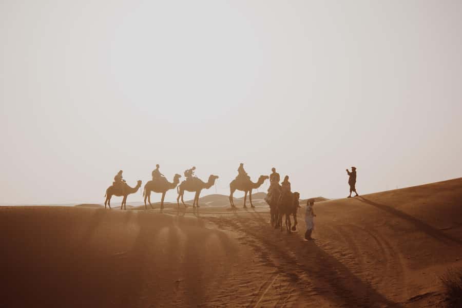 Wadi Rum: 2 Hour Camel Ride at Sunset/Sunrise Overnight - Key highlights worth waking up for