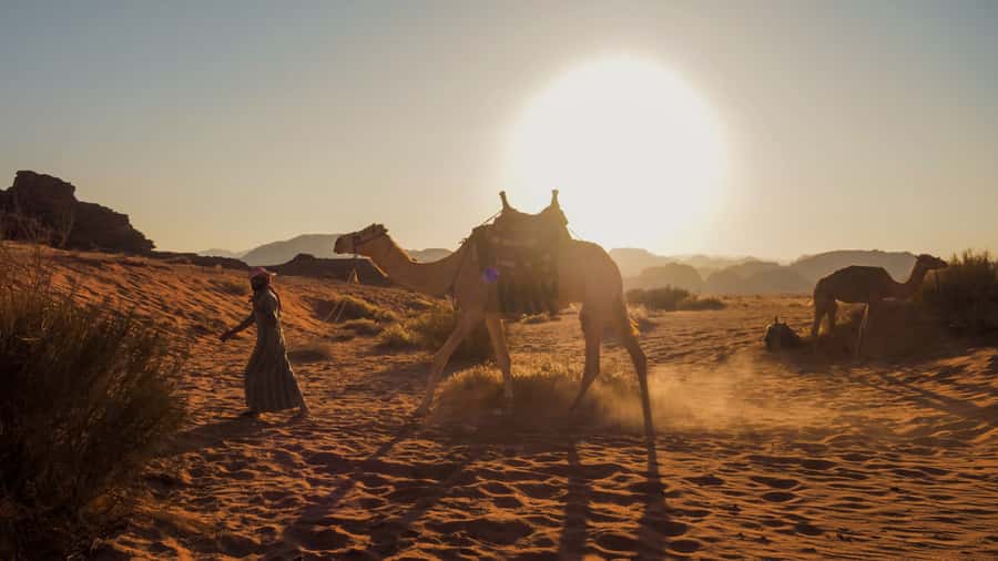 Wadi Rum: 2 Hour Camel Ride at Sunset/Sunrise Overnight - Wadi Rum camel ride: the value of going small at golden hour