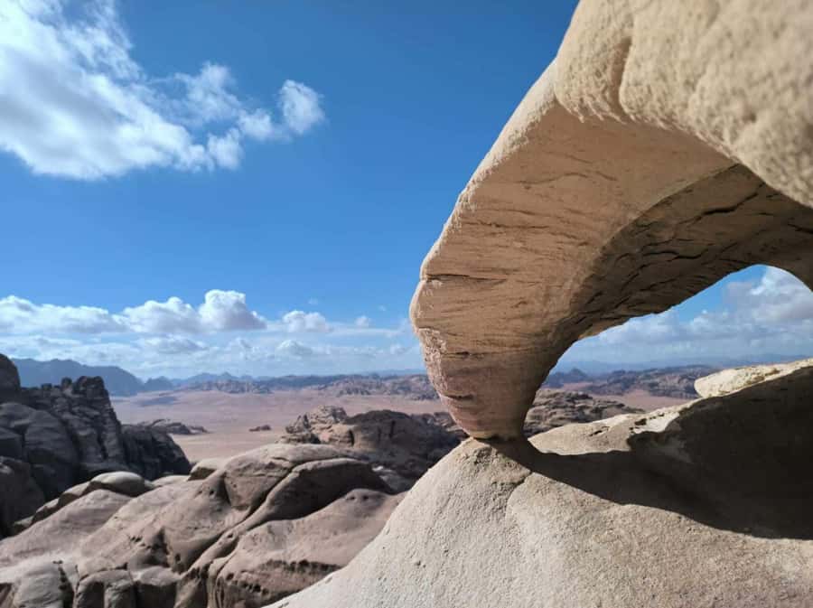 Wadi Rum: 2-Hour Jeep Tour with Bedouin Tea - Price and Value: $31 Plus the 5 JOD Protected-Area Fee