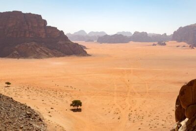 Wadi Rum: 4 Hour Highlights Tour - Khazali Canyon petroglyphs: where the desert turns into a story