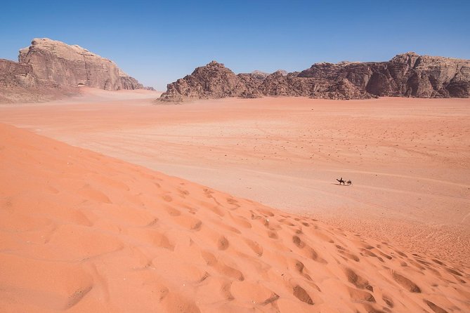 Wadi Rum: 4 Hour Highlights Tour - What you pay for: price, entrance fee, and value