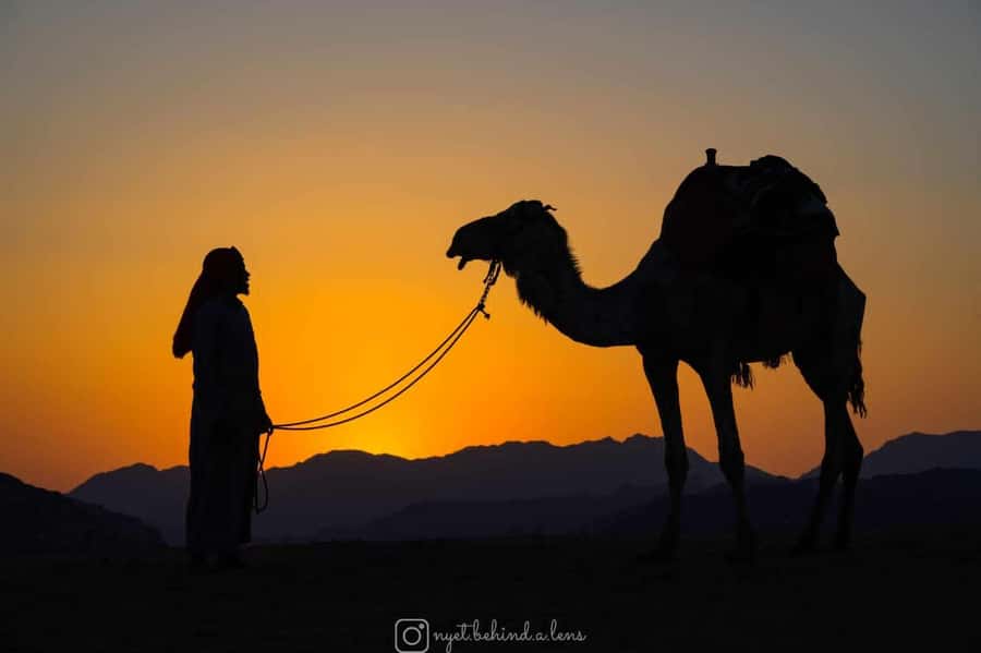 Wadi Rum: Camel Ride with tea and Bedouin Guide - One Full Hour on Camelback With a Bedouin Guide