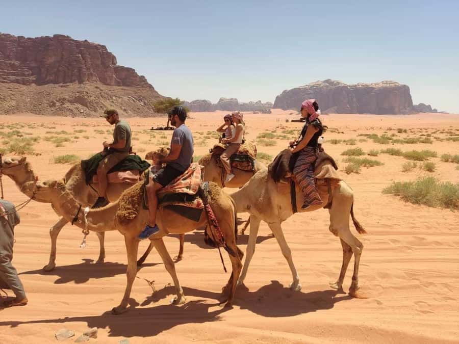 Wadi Rum: Camel Ride with tea and Bedouin Guide - Al Ramal Red Sand Dune Stop: Tea Break and Mountain Views