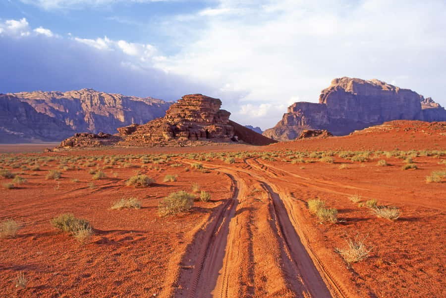 Wadi Rum: Camel Ride with tea and Bedouin Guide - Practical Comfort Tips: What to Bring and What to Expect Off-Grid
