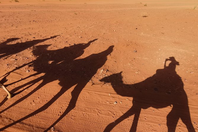 Wadi Rum: Camel Trek Adventure - Entering Wadi Rum From Wadi Rum Rest House