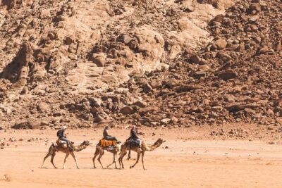 Wadi Rum: Camel Trek Adventure - Stop by Stop: Ain Abu Aineh to Red Sand Dune