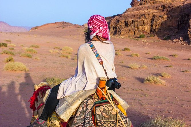 Wadi Rum: Camel Trek Adventure - Price and Value: What $91 Covers (and What It Doesn’t)