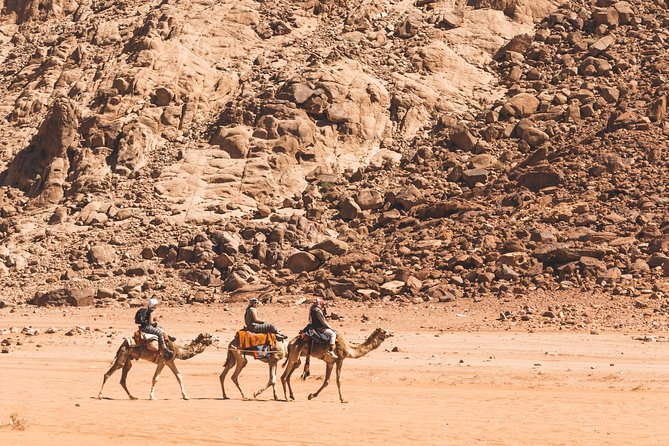 Wadi Rum: Camel Trek Adventure - Stop by Stop: Ain Abu Aineh to Red Sand Dune