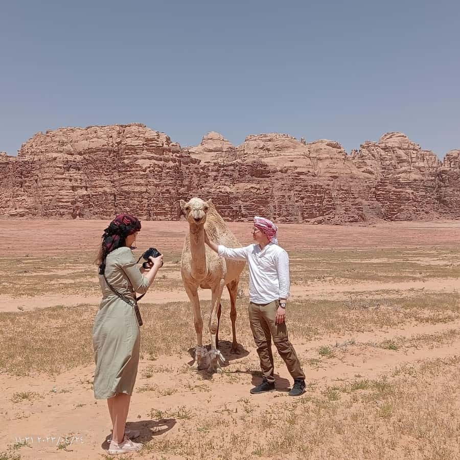 Wadi Rum Classic 4-Hour Jeep Safari - Getting there without stress: Wadi Rum Village pickup