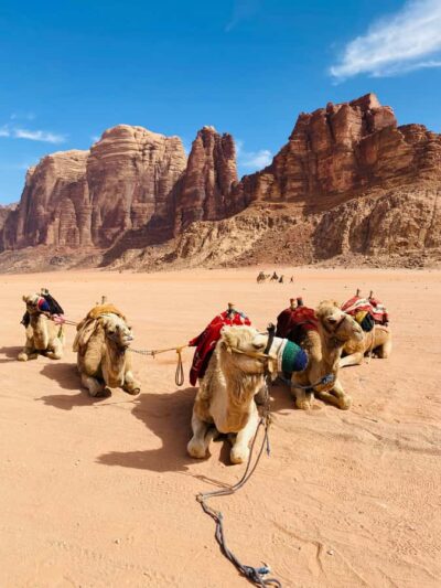 Wadi Rum Classic 4-Hour Jeep Safari - Morning vs sunset: pick the colors you want