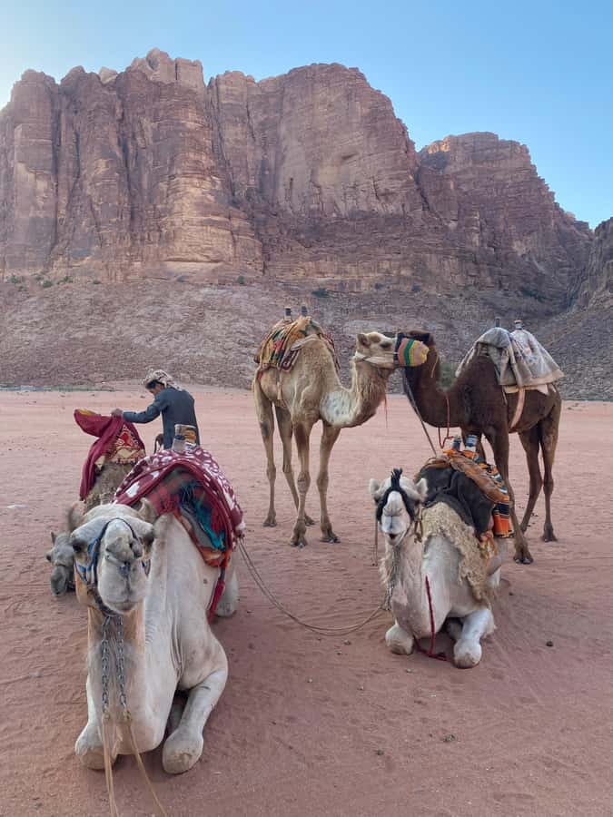 Wadi Rum Classic 4-Hour Jeep Safari - Should you book this Wadi Rum Classic 4-hour jeep safari?