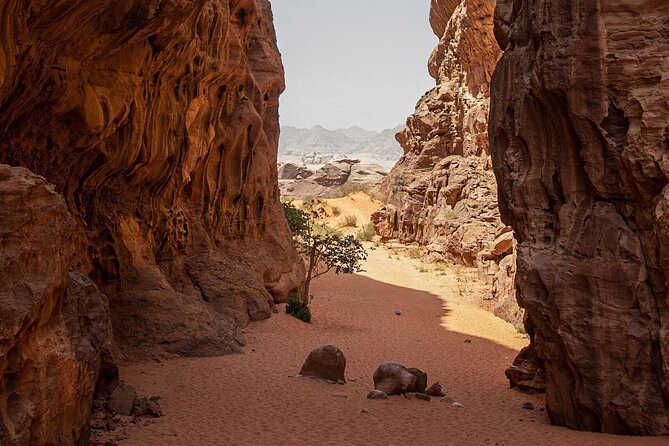 Wadi Rum Desert Tour with Lunch & Sunset - Guides you might meet: Mohammed, Sultan, Ali, Audi, Atallah