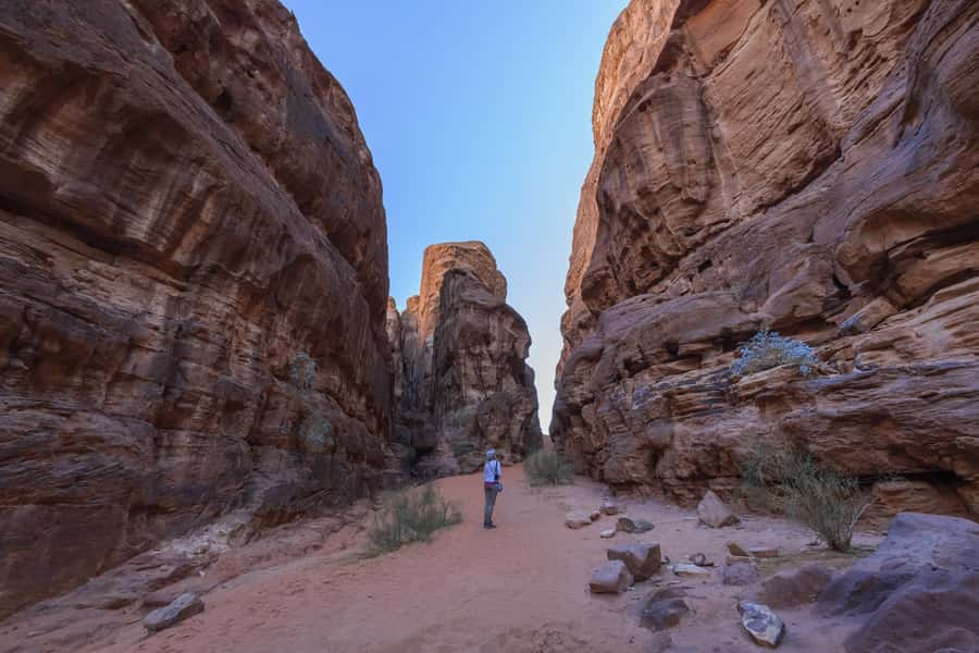 Wadi Rum: Explore 10-Hour Jeep Tour Pass, Guide, Meal & Stay - Bedouin tent night inside the protected area: comfort with a clear view of the sky