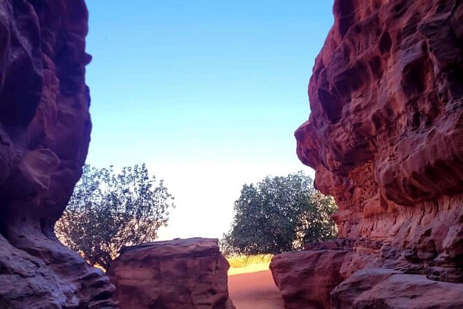 Wadi Rum Full Day Jeep Tour + Overnight & Dinner in Bedouin Camp - Day 2: Breakfast in Wadi Rum and a Calm Finish Back to the Village