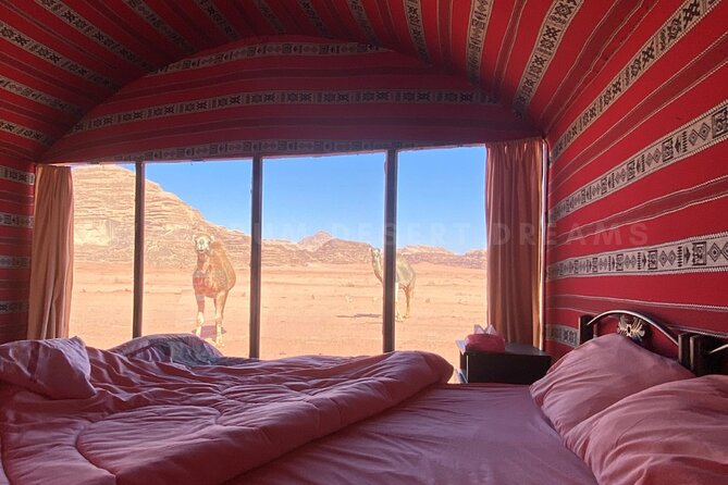 Wadi Rum Full Day Jeep Tour + Overnight & Dinner in Bedouin Camp - Should You Book Wadi Rum Desert Dreams Jeep Tour + Overnight Camp?