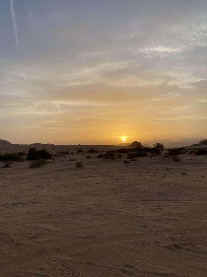 Wadi Rum:Full Day Tour Lunch Sand boarding Camel Ride Sunset - Sunset at the Bedouin Tea Area: Where the Day Clicks