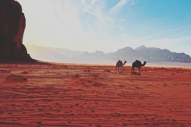 Wadi Rum Half-Day 4x4 and Camel Tour - Snacks, coffee, tea, and water: small comfort details that matter