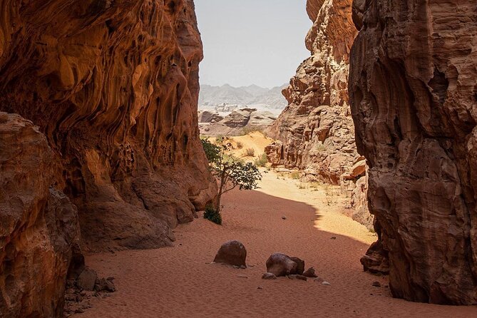 Wadi Rum Half-Day Desert Tour | Wadi Rum Desert - Getting the best photos without burning your knees