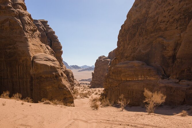 Wadi Rum: Mountain Hike with Lunch & Scenic Valley Tour - Price and value: what $127 covers, and what might cost extra