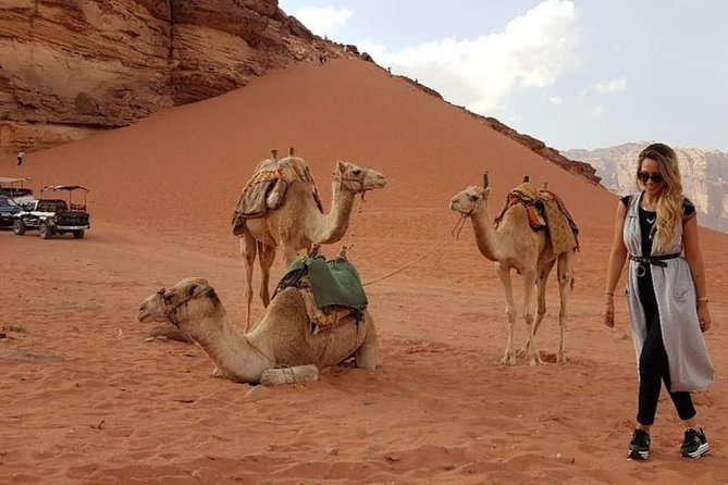 Wadi Rum Private Transfer to or from Amman or Airport - Price and Value: When $149.99 Feels Reasonable