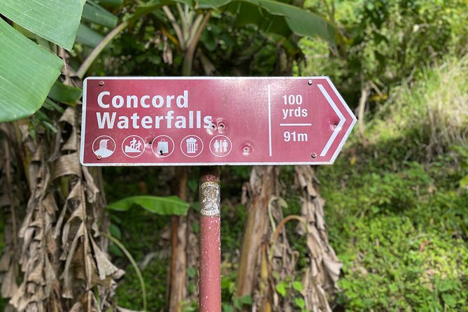 West Coast: Rum Distillery, Concord waterfall, Nutmeg processing - West Coast in One Day: Why This Route Feels Efficient