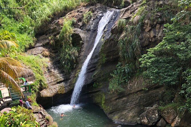 West Coast: Rum Distillery, Concord waterfall, Nutmeg processing - Concord Waterfall: Swim-Ready Views (Bring Caution, Not Expectations)