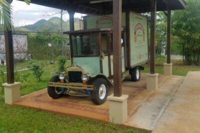 YS Falls and Appleton Estate Private Rum Tour - The Cane-Sugar Tastings: Why This Stop Feels More Real