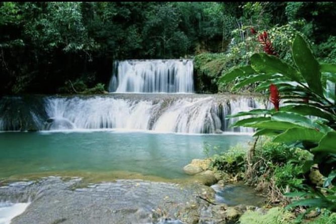 YS Falls and Appleton Estate Private Rum Tour - Pickup, Privacy, and How the Day Feels Compared to Big-Bus Tours